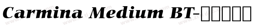 Carmina Medium BT字体转换